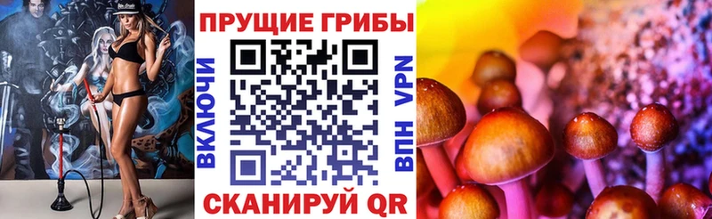 даркнет какой сайт  Вуктыл  Галлюциногенные грибы Magic Shrooms  наркошоп 